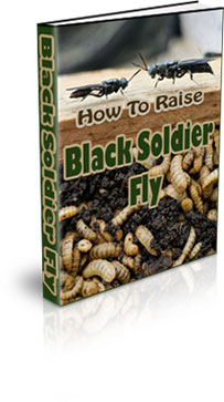 The How To Raise Black Soldier Fly Larvae eBook